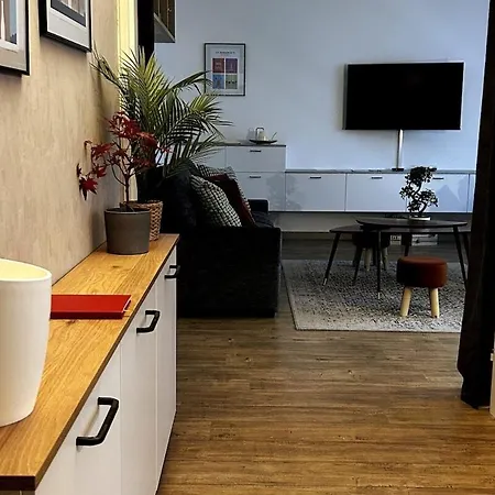Apartament Au Coeur De : A Deux Pas De La Cathedrale Reims